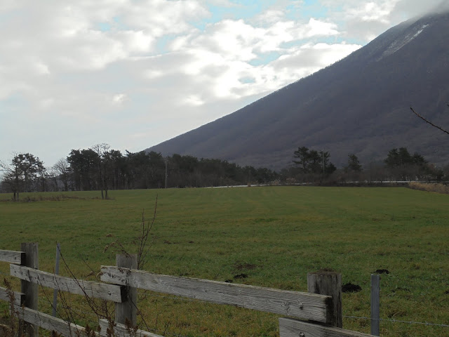 冬の大山まきばみるくの里