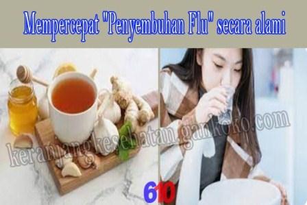 https://keranjangkesehatan.gankoko.com/2024/02/mempercepat-penyembuhan-flu-secara-alami.html