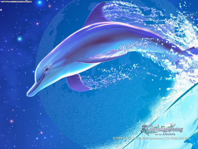 Kagaya wallpaper, dolphin