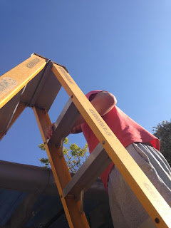 Jesse putting up the sunshade