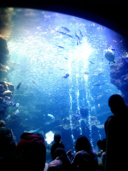 京都市水族館