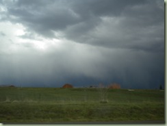 DSCN0889