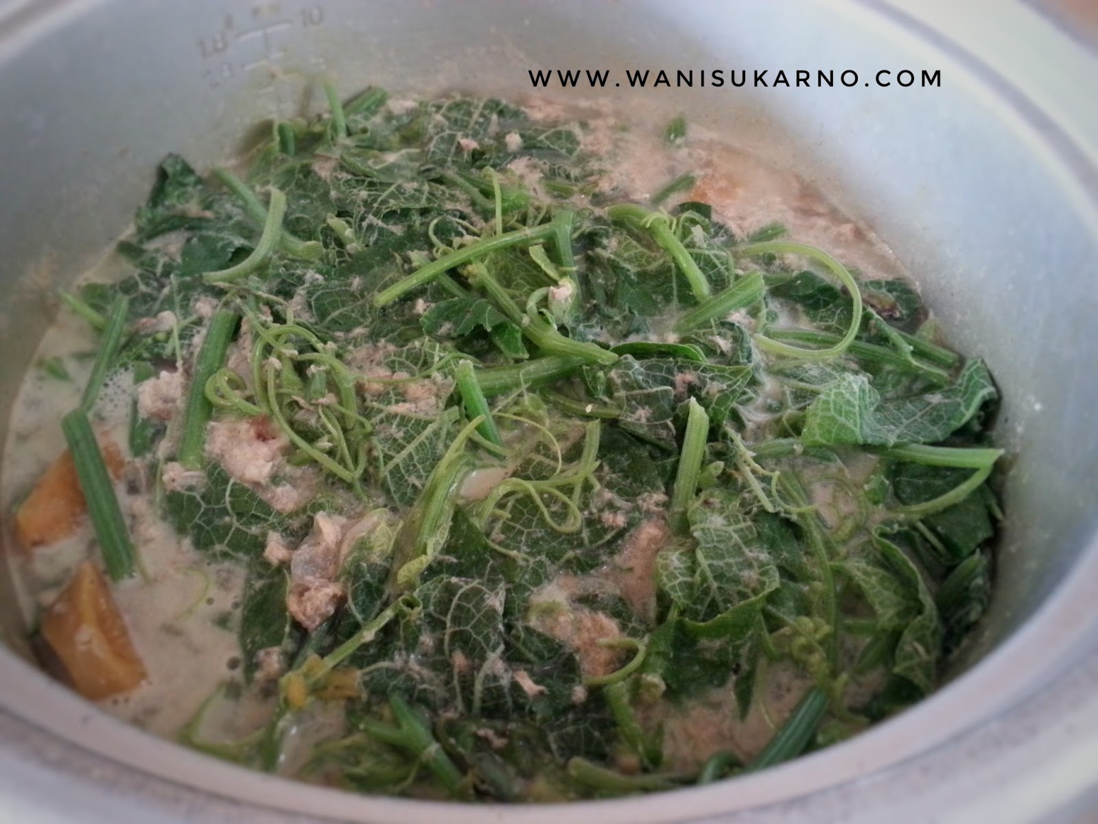 Resepi Masak Lemak Labu Pucuk Manis