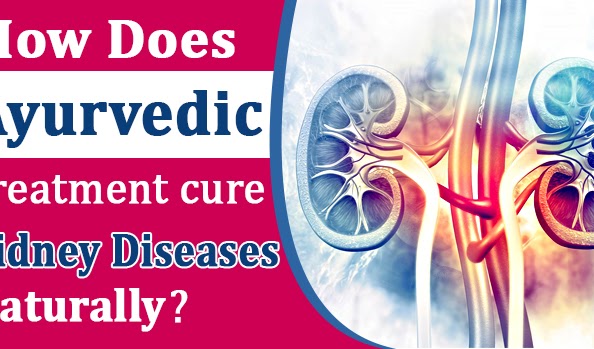 How does Ayurveda treatment cure kidney diseases naturally?