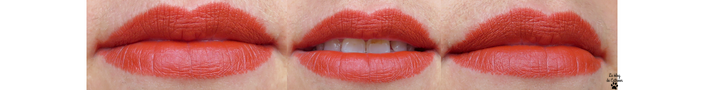 Matte Lipstick - 05 Coquelicot - Charlotte Makeup