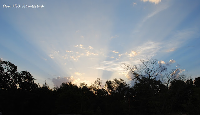 Sunrise with sunbeams