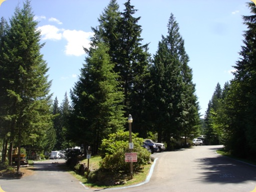 Drive to Issaquah, WA 201