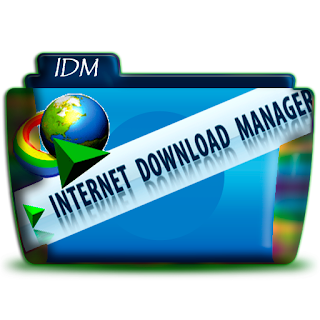 Internet Download Manager (IDM)