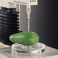 Cylinder probe test on avocado