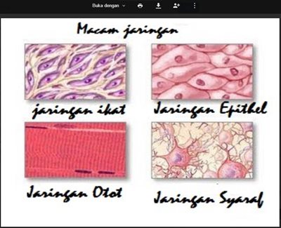 PENDIDIKAN BIOLOGI STAR Materi  Biologi pembahasan 