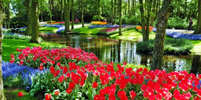 7 Taman Bunga paling Indah dan paling Cantik di Dunia 7 Taman Bunga paling Indah dan paling Cantik di Dunia