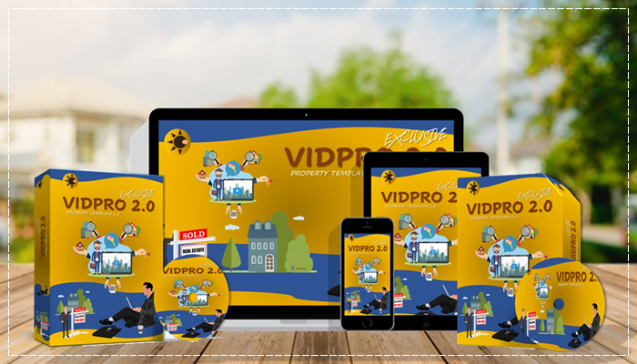 VidPro 2.0