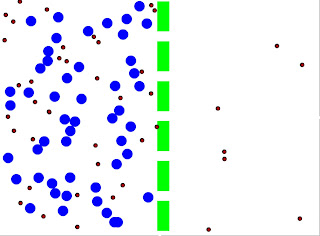 Cell membrane Diffusion.swf / Difusi membran sel.swf