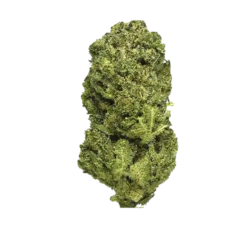 CBD