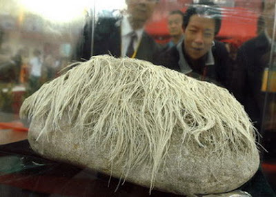 hair-growing stone in China