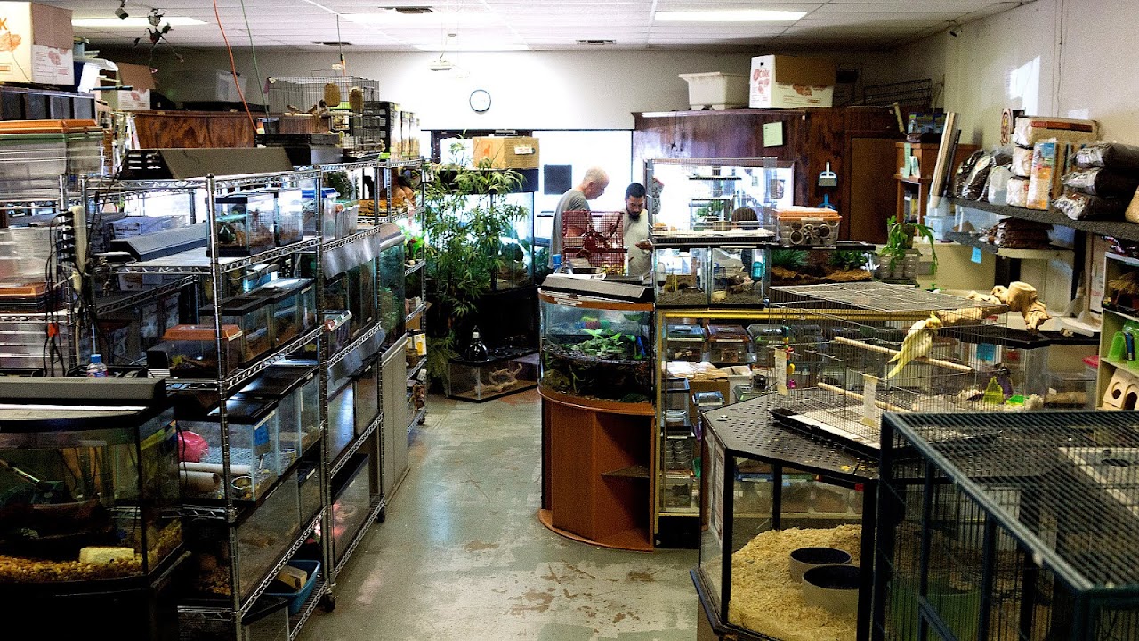 Pet Shop of Horrors