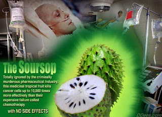 http://www.women-info.com/en/anticancer-soursop/