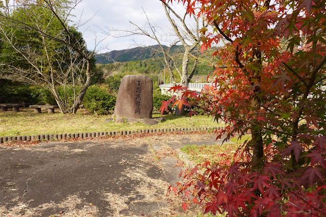 鳥取県西伯郡南部町下中谷 緑水湖 遊歩道 モミジの紅葉