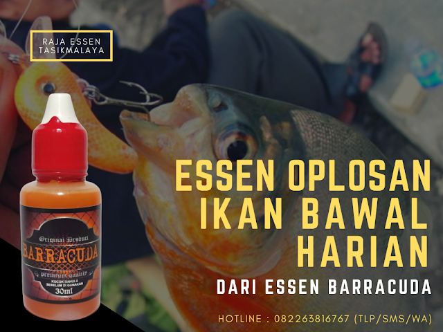 https://rajaessentsm.blogspot.com/2019/11/essen-oplosan-ikan-bawal-harian-andalan.html