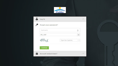 SSO Login Pidilite Password