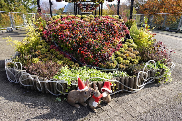 鳥取県西伯郡南部町鶴田 とっとり花回廊 エントランス展示