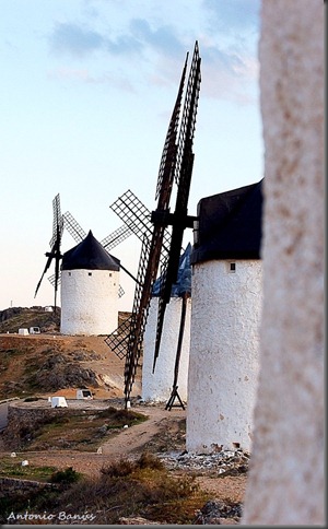 2 DSC_0251X1