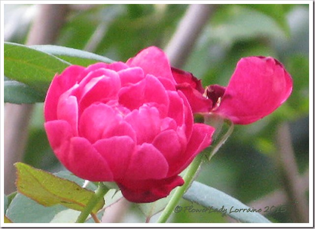 10-16-louis-philippe