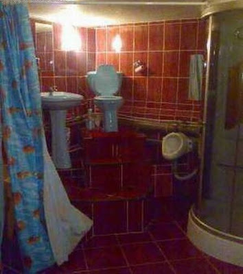 unusual toilets