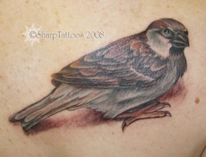 https://blogger.googleusercontent.com/img/b/R29vZ2xl/AVvXsEgUVoOnpT2b4ZjyuVcS9HItGes5XqnMtWNHhcR18ep481vjqQ1ce3ytzkR25qXUwbWanHVWucs5zlDTOYrlPYfj5PgcYRvIvBlu2mZRm29hUiJpYqlRilriRyRg2Bu09Ip4acWnd7SSiPA/s1600/sparrow-tattoos-4.jpg