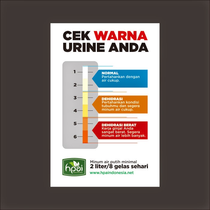 Stiker Cek Warna Urine HNI HPAI Support System