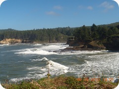 DSCN1898