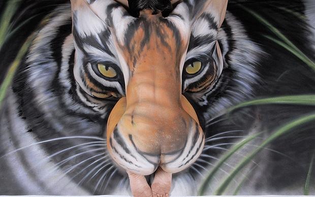 craig-tracy-tiger (14)