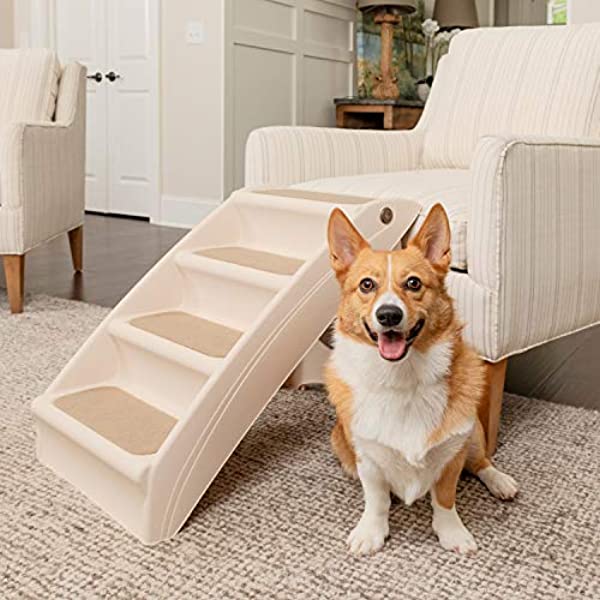 dog fixed ramp