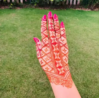 Easy_net_with_small_flowers_mehndi_design