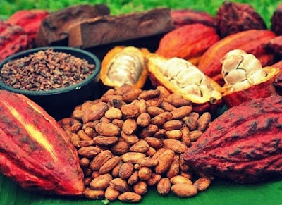 Cacao de Tarapoto