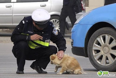 Dog And The Policeman Seen On www.coolpicturegallery.us