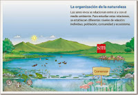 http://www.smlir.net/ArchivosCMS/DemoLir/SM/U5_p57_01/Organizacion%20de%20la%20naturaleza.swf