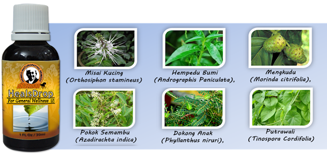  6 herba Nusantara Healsdrop