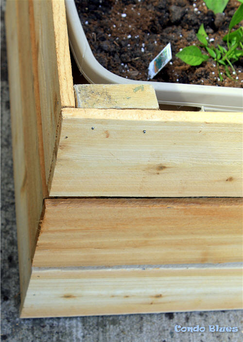 Condo Blues: How to Make a Self Watering Planter Box