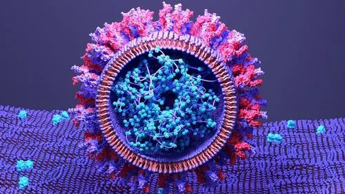 Rendering of SARS-CoV-2 spike proteins binding to ACE2 receptors.