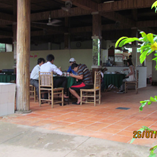 View album