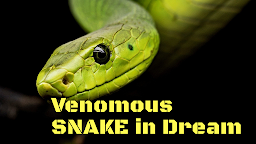 Islamic meaning of Venomous snake dream and biblical meaning of snake dream.