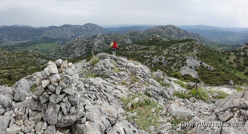 Nueve picos de la Sierra del Endrinal