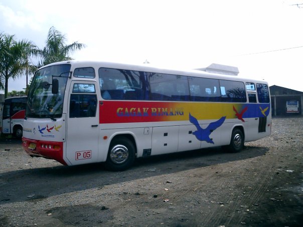  SabtuNgebus Bis Asli Indonesia