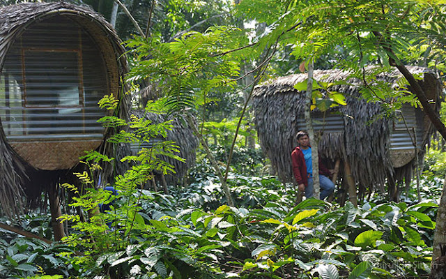 Rumah Kapsul/ Rumah Kepompong di Omah Kelingan Temanggung