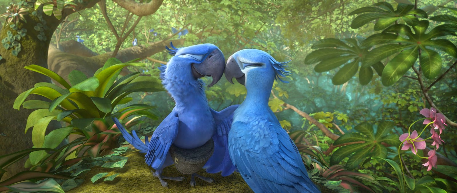 Movie Review Rio 2 14 Colourlessopinions Com