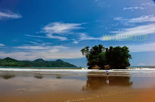  Pantai Pelang, Pantai Menakjubkan Di Pesisir Tranggalek.   Pantai Pelang     Pesisir selatan pulau Jawa serasa tak pernah bosan membuat saya terkagum dengan ciptaan Allah SWT. tuhan semesta alam. Pesisir pulau yang dianggap sebagai pulau paling penting di Indonesia memiliki daerah pantai yang pastinya akan membuat Anda kagum, tak terkecuali dengan pantai pelang.   Lokasi Pantai Pelang   Bagi Anda yang belum tahu Pantai Pelang adalah pantai indah yang berada di desa Wonocoyo, kecamatan Panggul, Kabupaten Trenggalek, Jawa Timur. Letak pantai ini cukup jauh dari pusat kota, yakni berjarak sekitar 57 km dari pusat Kabupaten Trenggalek, dengan jarak 2-2,5 jam perjalanan dari Tulungagung, yang menjadikan tempat ini sangat cocok untuk dijadikan tempat rekreasi bersama keluarga untuk melepaskan kepenatan akibat rutinitas sehari-hari, atau juga bisa menjadi referensi tujuan wisata menarik bagi Anda para pecinta kegiatan Traveling.   Keindahan Pantai Pelang.   Pantai Pelang   Di pantai ini kita akan merasakan serta melihat keindahan pantai yang berpasir kuning membentang luas dari arah timur ke barat. Selain itu pantai ini juga banyak ditumbuhi pohon vegetasi pantai yang akan membuat pantai pelang ini semakin tampak menawan.  Di pantai ini juga terdapat gazebo yang diperuntukan bagi para wisatawan untuk bisa bersantai sambil menikmati keindahan panorama Pantai Pelang. Selain itu, Saat Anda disini dan tak membawa perbekalan dari rumah, Anda tak perlu khawatir karena di pantai ini terdapat banyak penjual makanan dan minuman yang menjajakan dagangannya kepada para pengunjung.   Bagi Anda para pecinta alam juga tersedia area kemah, sehingga Anda bisa merasakan dinginnya malam, serta melihat bintang-bintang di langit malam pantai pelang, dengan alunan suara deburan ombak yang saling  berkejaran, maka tentu hal ini akan menjadi pengalaman yang tak terlupakan bagi Anda.   Jalur Menuju Pantai Pelang.   Destinasi  Wisata Pantai Pelang ini memiliki area parkir yang cukup luas, sehingga Anda tak perlu bingung saat akan membawa kendaraan pribadi dan memarkirkannya, uniknya di Pantai Pelang ini area parkir  berada terpisah dari kawasan pantai, kawasan parkir di pisahkan oleh aliran air dari Grobogan sewu yang bermuara ke Pantai Pelang. Anda bisa berbasah-basahan di aliran air ini atau bisa melewati jembatan jika tidak mau berbasah-basahan.   Untuk bisa sampai di Pantai Pelang ini Anda bisa berangkat dari Tulungagung melalui jalan Tulungagung-Trenggalek kemudian melewati Makam Pahlawan Trenggalek lalu setelah Anda tiba di pertigaan karangan (lampu lalu lintas) lalu melanjutkan belok ke arah kiri menuju ke arah Dongko kemudian melanjutkan ke Panggul, setelah ini Anda akan melalui rute dengan jalan menanjak, berliku-liku serta melewati kawasan hutan. Sebenarnya setelah dari panggul ink Anda hanya tinggal mengikuti papan penunjuk jalan.   Sebenarnya ada cara yang lebih mudah untuk bisa tiba di Pantai Pelang ini yakni dengan cara naik bus dari terminal Trenggalek yakni Anda harus naik bus dengan jurusan Trenggalek-Lorok/Pacitan.   Harga Tiket Masuk Pantai Pelang :   Dengan biaya masuk sebesar Rp.7.000,00,- saat hari biasa, dan sebesar Rp.8.000,00,- saat hari libur.  Dengan berbagai ulasan diatas maka Anda akan merasa sangat rugi jika tidak mengunjungi Pantai Pelang saat berada di Trenggalek.