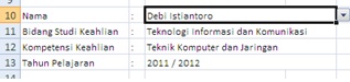 Hasil Data Validation Untuk Raport Excel