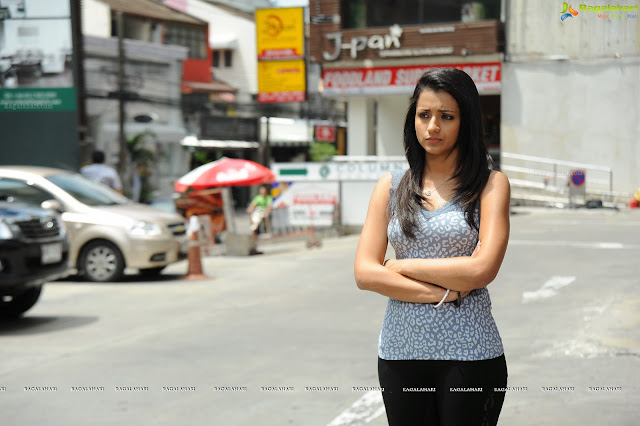 Trisha krishnan in samar movie