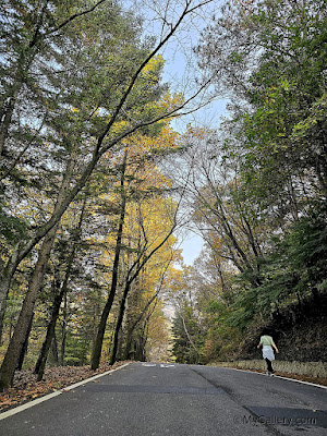 Autumn-in-Seoul-Grand-Park